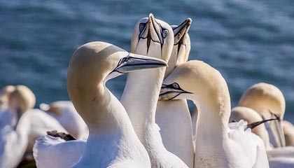 kaiyun官方入口登录-顶级赛场！意大利女足大战荷兰，双方势均力敌，意大利和荷兰足球交战史